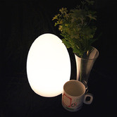 Luminea Reegan Egg Outdoor LED Lamp