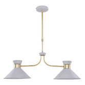 Luminea Shane 2 Light Metal Pendant