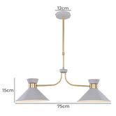 Luminea Shane 2 Light Metal Pendant