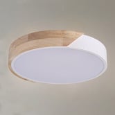 Luminea Helsinki Iron Round LED Oyster Light