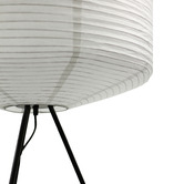 Luminea Seren Iron Tripod Floor Lamp