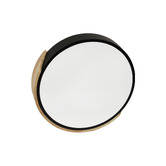 Luminea Helsinki Iron Round LED Oyster Light