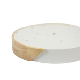 Luminea Helsinki Iron Round LED Oyster Light