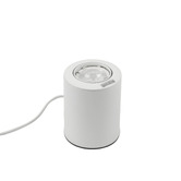 Luminea Suzanne Metal Compact Table Lamp