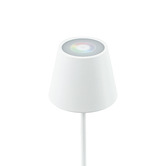 Luminea Cindy Metal Cordless Rechargeable Table Lamp