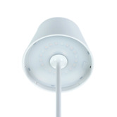 Luminea Cindy Metal Cordless Rechargeable Table Lamp