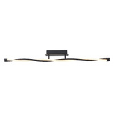 Luminea Boyer Iron LED Ceiling Light