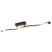 Luminea Boyer Iron LED Ceiling Light