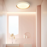 Luminea Aurora LED Oyster Light