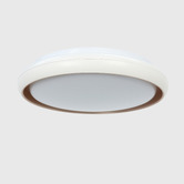 Luminea Aurora LED Oyster Light