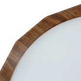 Luminea Chad Round Acrylic LED Oyster Light