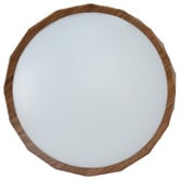 Luminea Chad Round Acrylic LED Oyster Light