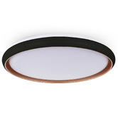 Luminea Aurora LED Oyster Light