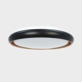 Luminea Aurora LED Oyster Light