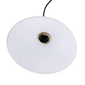 Luminea Herbie Glass Pendant Light
