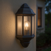 Luminea Mckinney Outdoor Wall Light