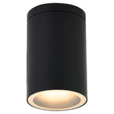 Luminea Declan Outdoor Ceiling Light