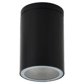 Luminea Declan Outdoor Ceiling Light