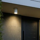 Luminea Declan Outdoor Ceiling Light