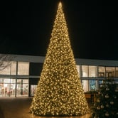 Luminea Saena LED Fairy Lights