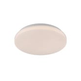 Luminea Kersey Iron LED Flush Mount Ceiling Light