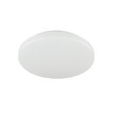 Luminea Jace Iron LED Flush Mount Ceiling Light