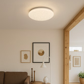 Luminea Jace Iron LED Flush Mount Ceiling Light