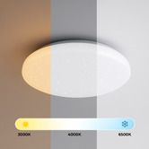 Luminea Jace Iron LED Flush Mount Ceiling Light