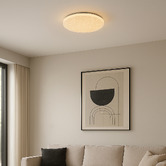 Luminea Jace Iron LED Flush Mount Ceiling Light