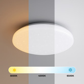 Luminea Jace Iron LED Flush Mount Ceiling Light