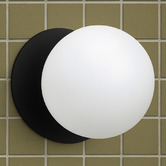 Luminea Lassie Opal Frosted Glass Cool White LED Outdoor Wall Light