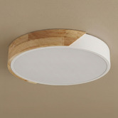 Luminea Helsinki Iron Round LED Oyster Light