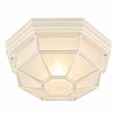 Luminea Moines Aluminium Outdoor Flush Mount Ceiling Light