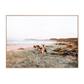 Le Concept Art Beach Kangaroos Framed Canvas Wall Art