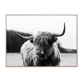 Le Concept Art Highland Cow Framed Canvas Wall Art