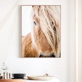 Le Concept Art Wild Pony Framed Canvas Wall Art