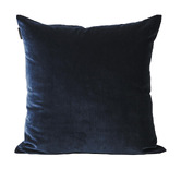 Aura By Tracie Ellis Luxury Velvet Cushion | Temple & Webster