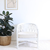Hyde Park Home Romeo Rattan Tub Chair