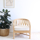 Hyde Park Home Romeo Rattan Tub Chair