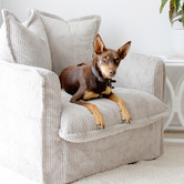 Hyde Park Home Cumulus Corduroy Slipcover Armchair