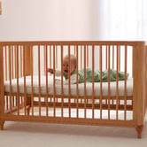 ergoPouch ergoPouch Lyra Convertible Cot