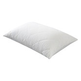 Aldrin Home (Set of 2) Cotton Cover Pillow Protector