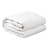Aldrin Home Cotton Filled Quilt