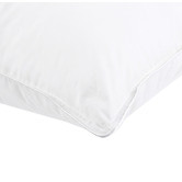 Aldrin Home Down Alternative King Pillow
