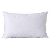 Aldrin Home White Goose Feather &amp; Down Pillow