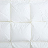 Aldrin Home Puffy Quilted Down Alternative Pillow