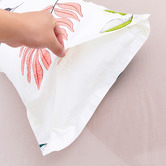 Dreamaker Undertint Cotton Quilt Cover Set
