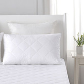 Aldrin Home (Set of 2) Cotton Cover Pillow Protector