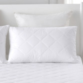 Aldrin Home (Set of 2) Cotton Cover Pillow Protector