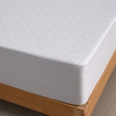 Aldrin Home Quilted Hayden Cotton Waterproof Mattress Protector